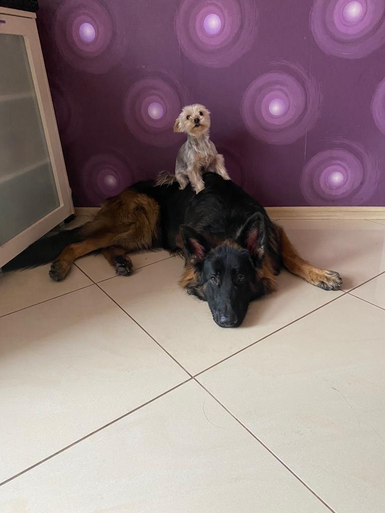 Un cliente nos manda esta bonita foto .Como podéis ver los peques dominan a  la perfección a los grandes!!!🤣🤣