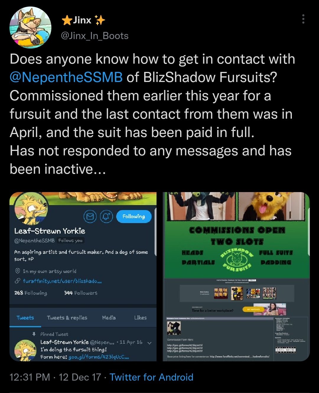 ⭐Jinx on Twitter "Throw back to the time I commissioned a Fursuit