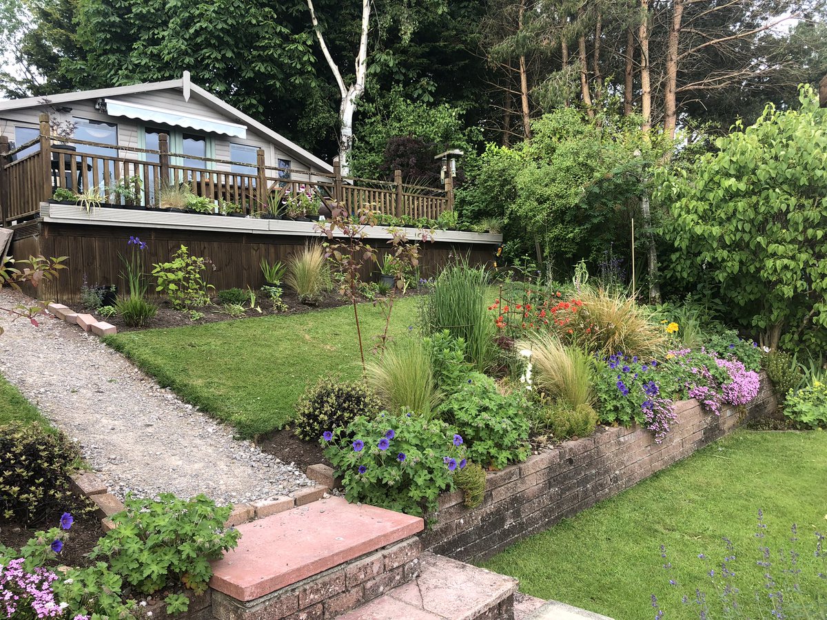 Plantoftheday1's tweet photo. Summertimes coming!
#garden https://t.co/ARKI2ZS9fj