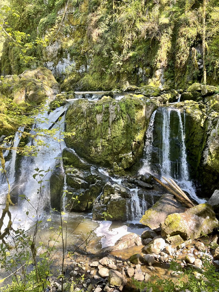 NicoleQualey's tweet photo. I love that my kids enjoy hiking as much as I do! #familyhike #togetherness #timewellspent #makingmemories #healthylifestyle #holdingonalittletighter #loveyourkids #GodBlessOurChildren https://t.co/3qUNZyhzxk