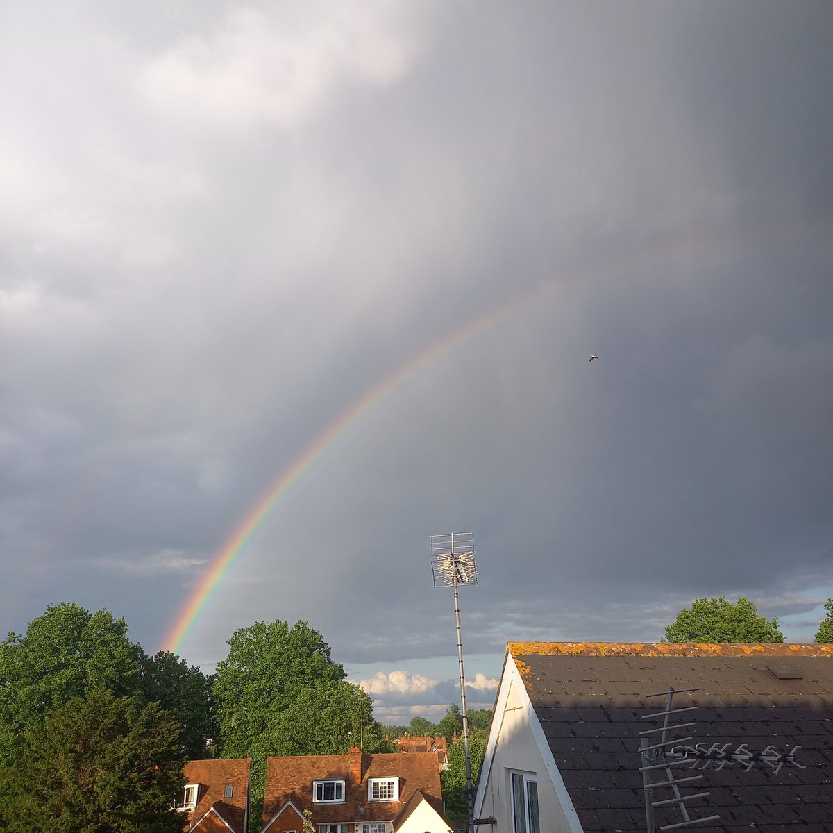 Meg Stretton tweet media