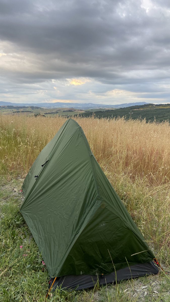 Nemanja Čedomirović tweet media