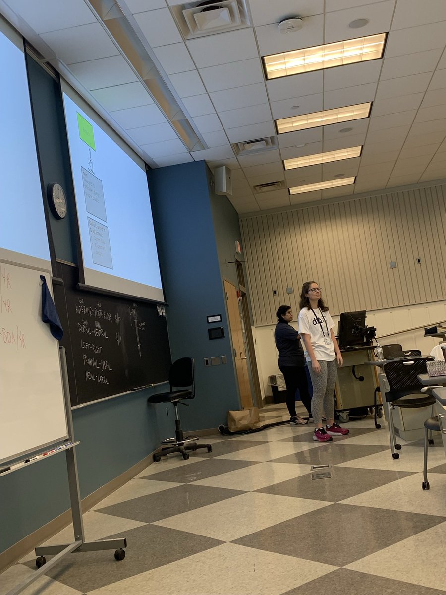 Sarah Steiner tweet media