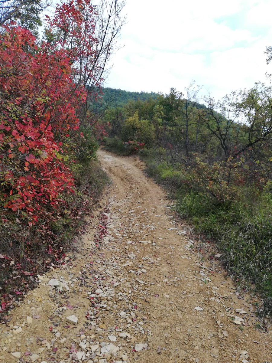 uzunalicm's tweet photo. @fotkajdotba @certificirani Danas tu postoji fino uređena turistička staza sa info tablama, klupama za odmor i kantama za smeće, uspon traje 20tak minuta https://t.co/2x6Ctb1wSa
