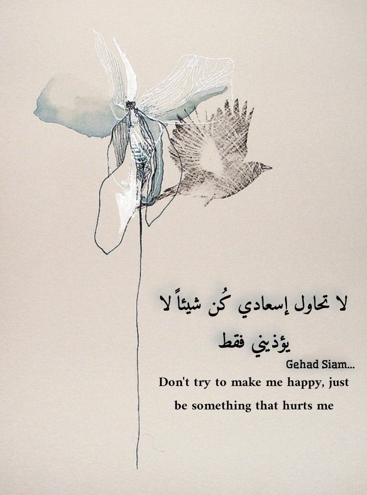 الشهد👑 tweet media