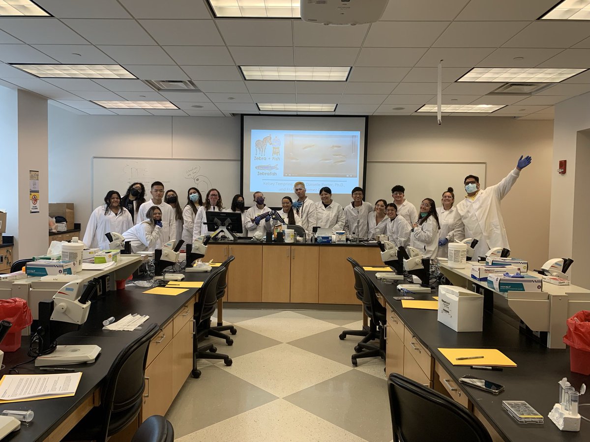 Sarah Steiner tweet media