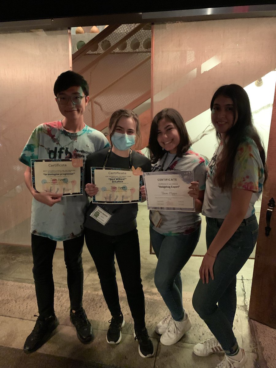 Sarah Steiner tweet media