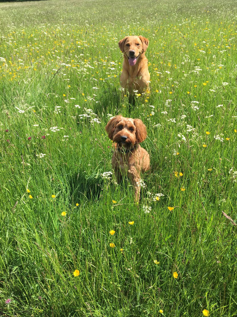 CLAIRE ROYLE (@claireroyle) on Twitter photo 