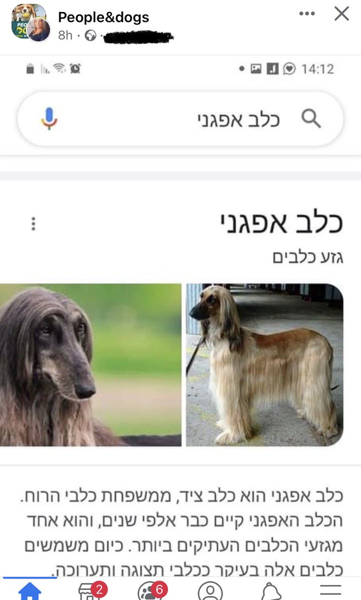 funkjunkmonkey's tweet image. פוסט חשוב באנשים וכלבים