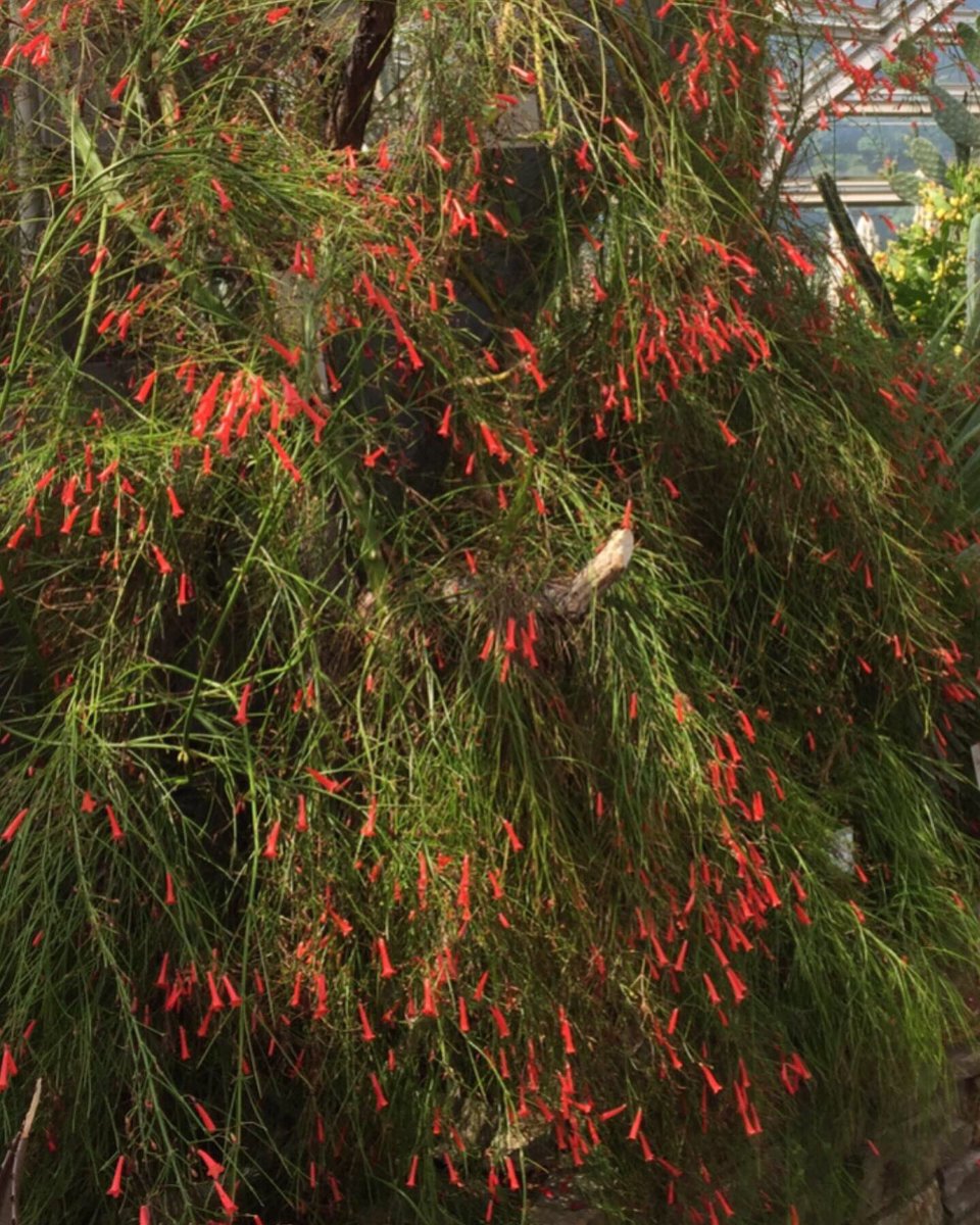 Ingrid Witowski tweet media