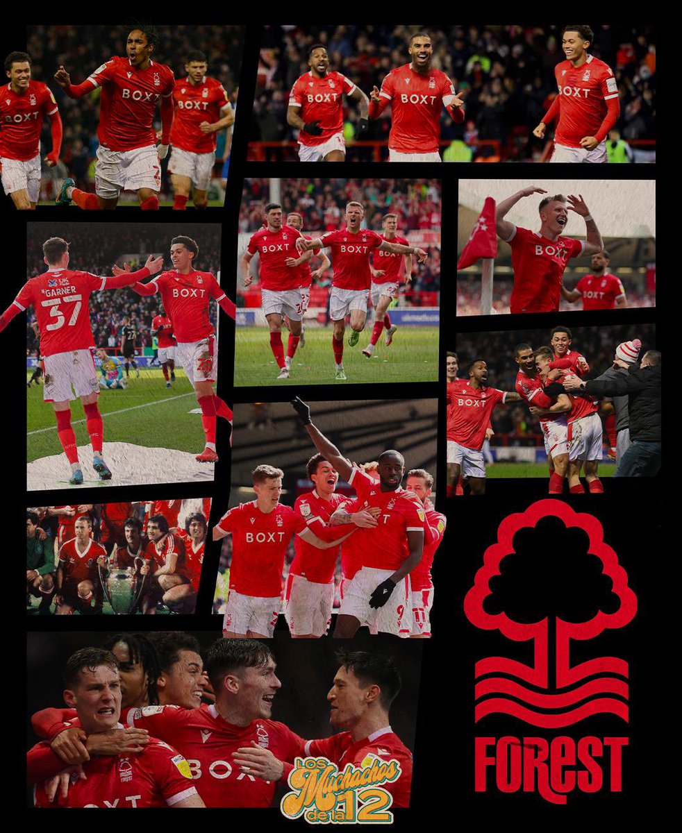 MuchachosLa12's tweet photo. 🌳¡Vuelve un histórico!♥️
Algunos en esta cuenta no habíamos nacido cuando se produjo el declive del Nottingham Forest. Tras despedirse hace 23 años, vuelve el club que ha sido dos veces campeón europeo a la Premier League. #PremierLeague🏴󠁧󠁢󠁥󠁮󠁧󠁿 https://t.co/57BZVcQeKL