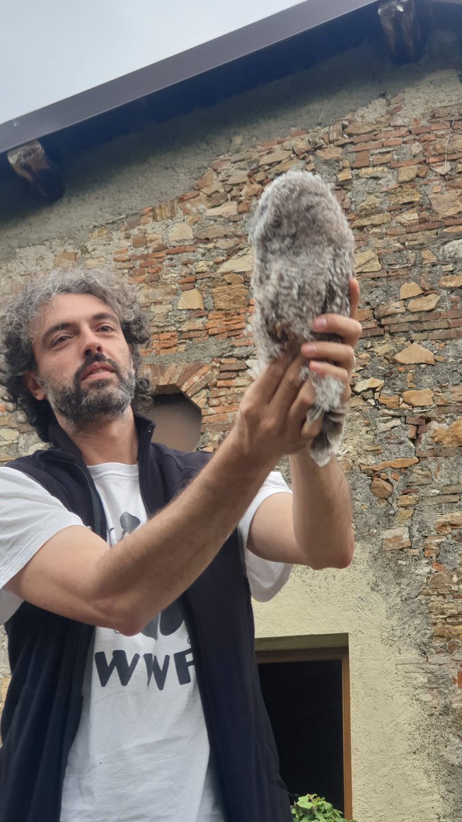 WWFOasi's tweet photo. 'L'allocco non è uno stupido' spettacolo e poi liberazione all'oasi @WWFitalia di #valpredina per la chiusura delle giornata oasi 2022 #renature https://t.co/vmTMRyhiRT