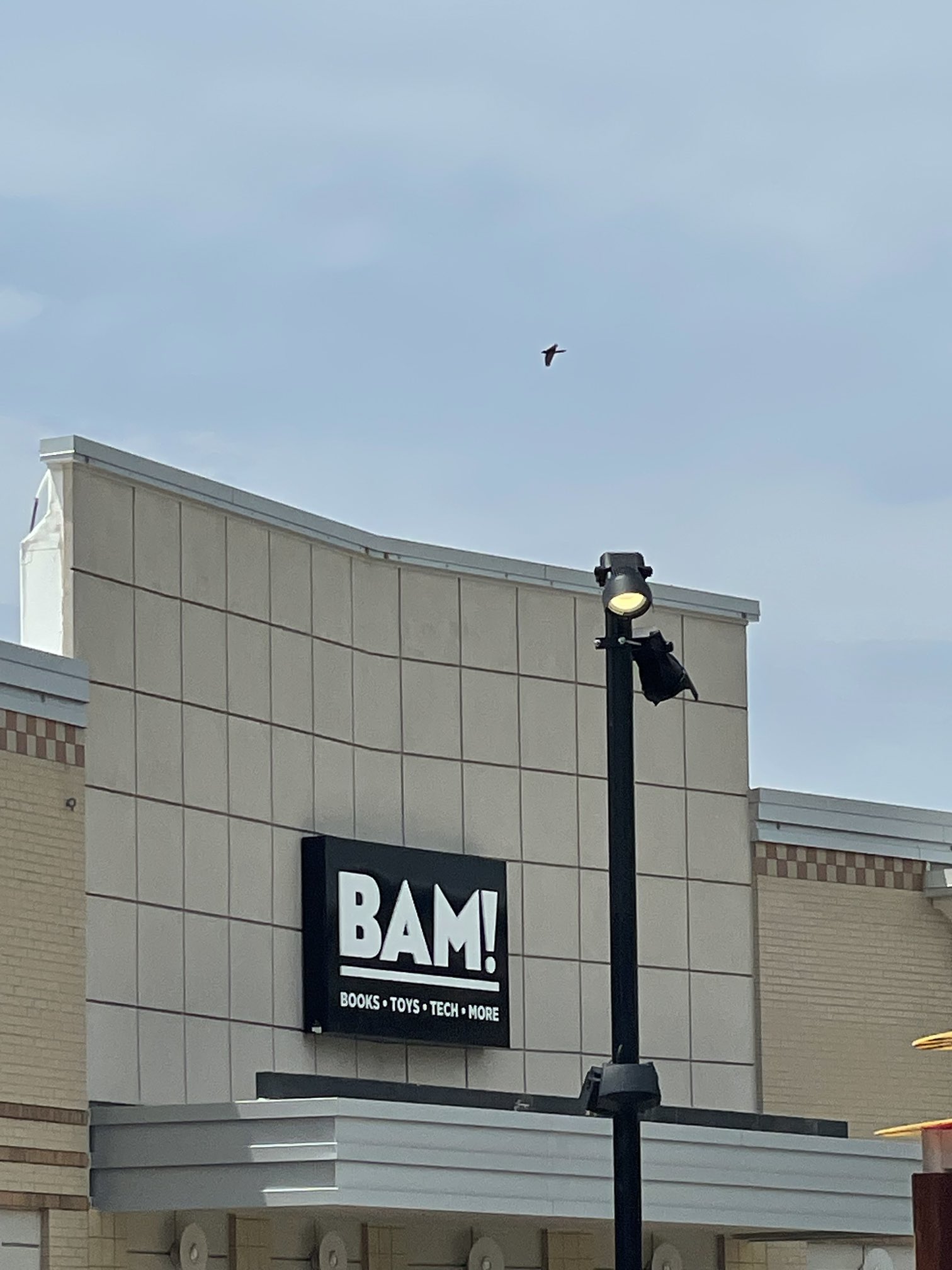 Joe Esposito on Twitter "Interesting store here in Kansas City. BAM