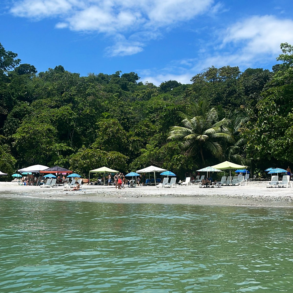 TaneeshaGreaves's tweet photo. @viewsoff_ Paradise in Costa Rica 🌱 #LifeinWeb3 https://t.co/6n9qTMCk7N