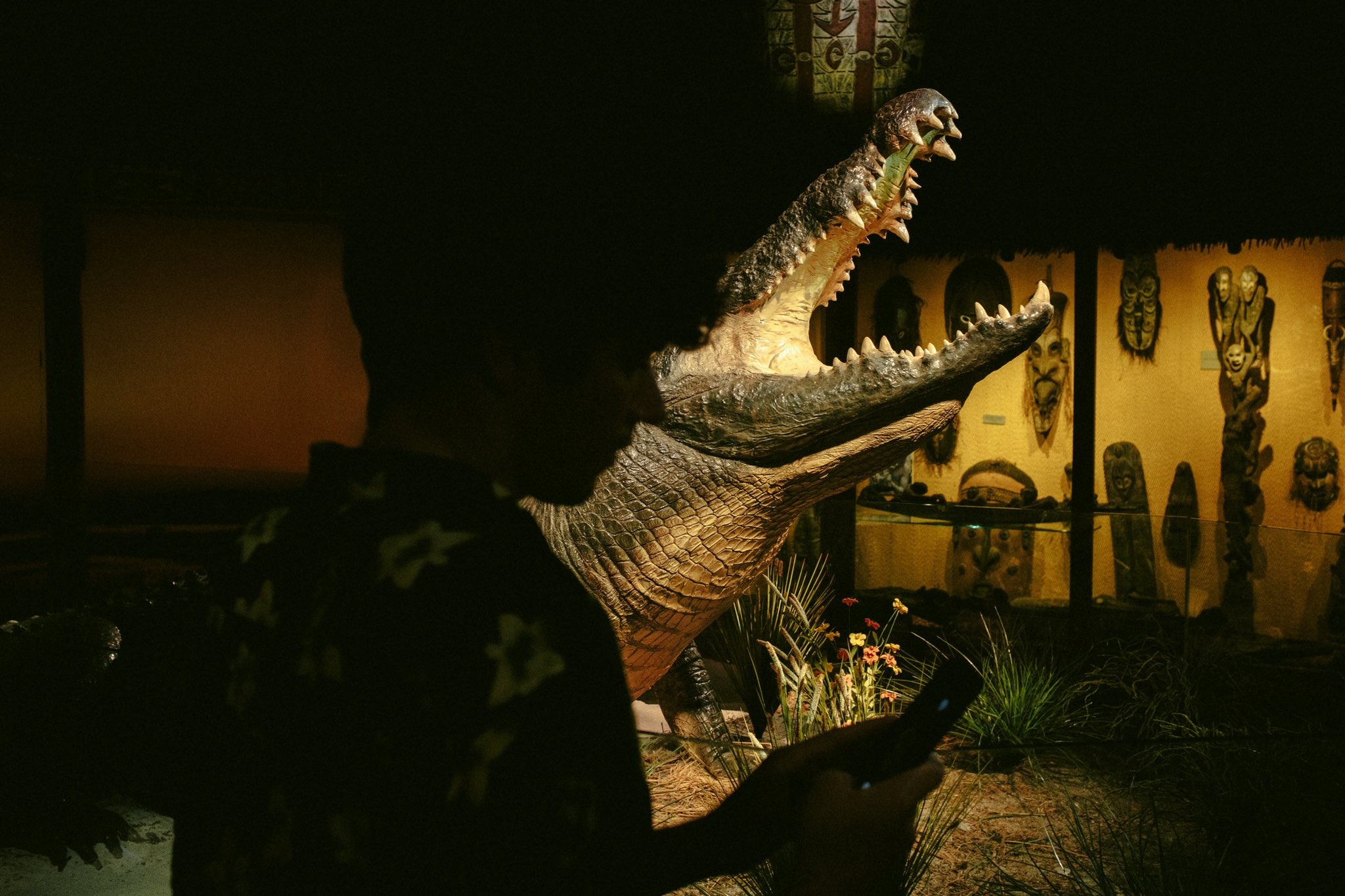 Wallows (@wallowsmusic) / Twitter