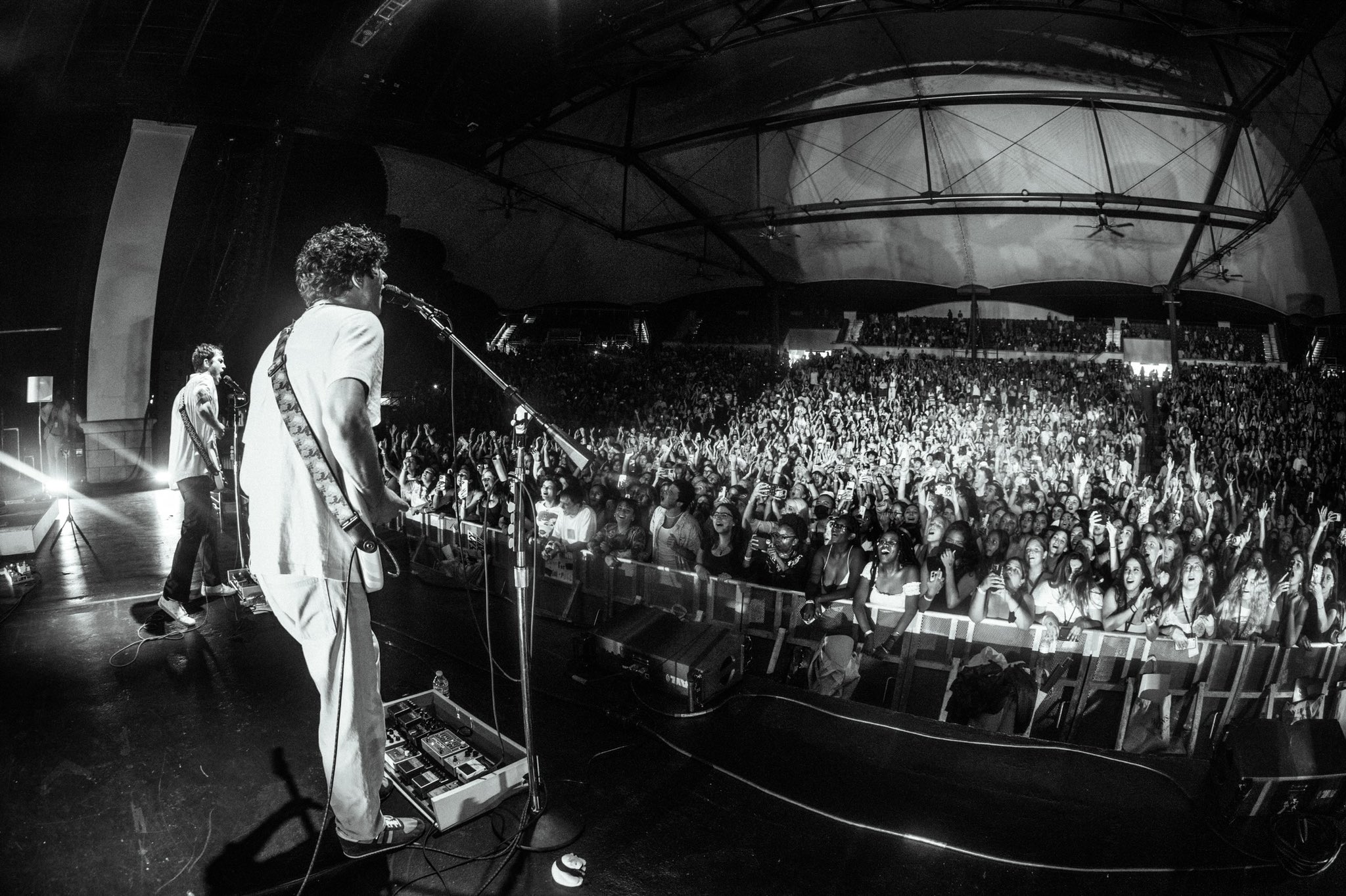 Wallows (@wallowsmusic) / Twitter