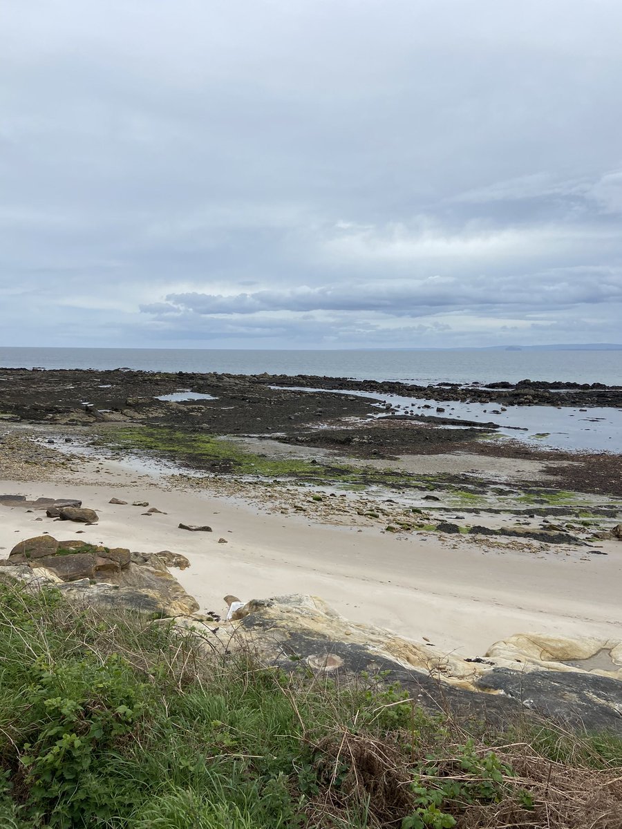 📍Somewhere along the Fife Costal Path 🌊