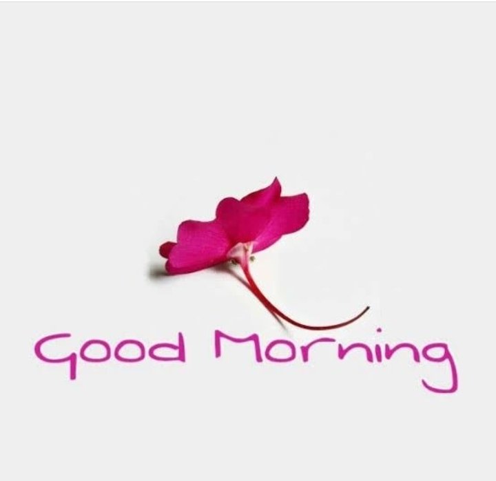 WBheekam's tweet photo. @Anita_meena2 https://t.co/W3EUIBGq9K
