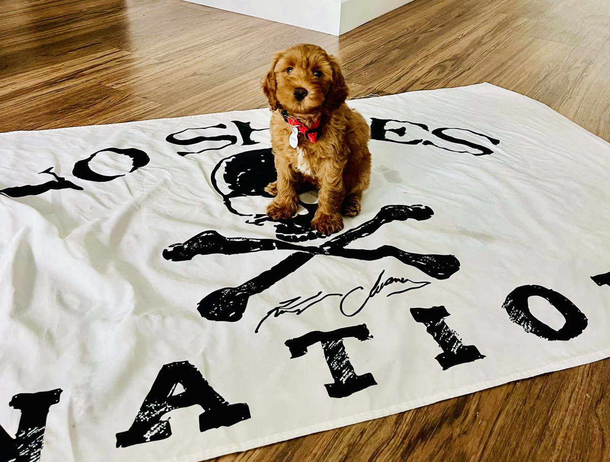 My new puppy 🐶 Chesney! ❤️❤️❤️