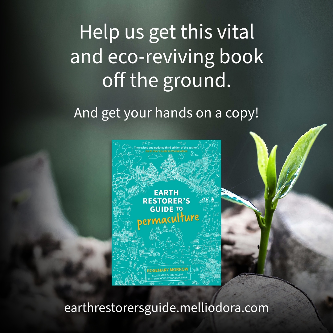 Contributing to our crowd support campaign is a great way to get your hands on an advance copy of Rowe’s brilliant book, as well as supporting independent publishing and minimal-impact printing in Australia.

melliodorapublishing.com/best-loved