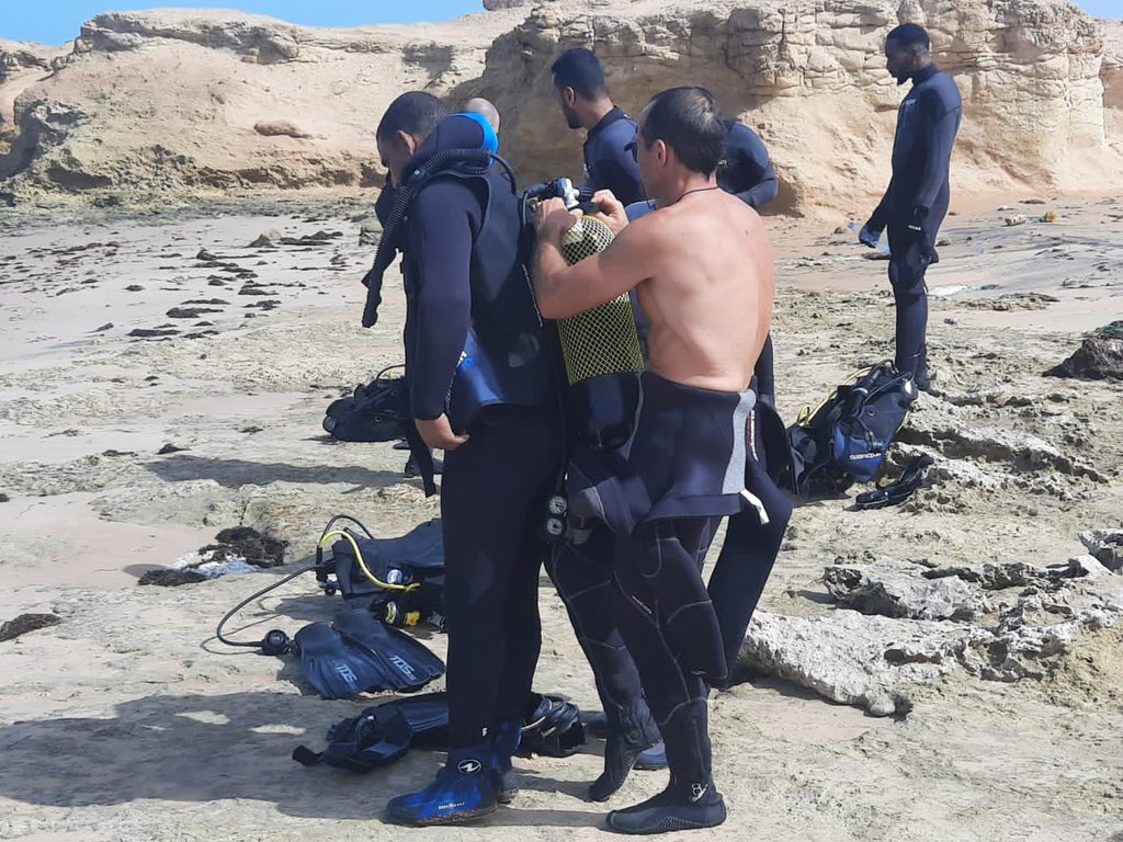 Parc National du Banc d'Arguin - PNBA tweet media