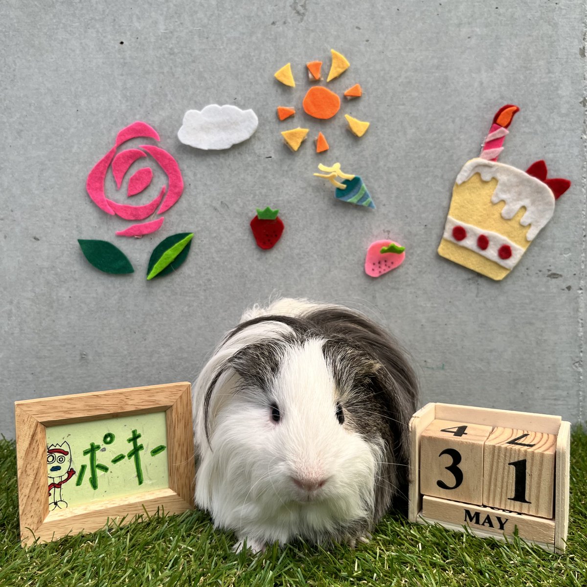 横浜市立野毛山動物園 公式 今日のはぴもる ハッピーバーズデー 5月31日 今日は何の日 世界禁煙デー まいにちのげもる復活 ほぼまいにち 野毛山動物園 T Co Du87g7bup2 Twitter