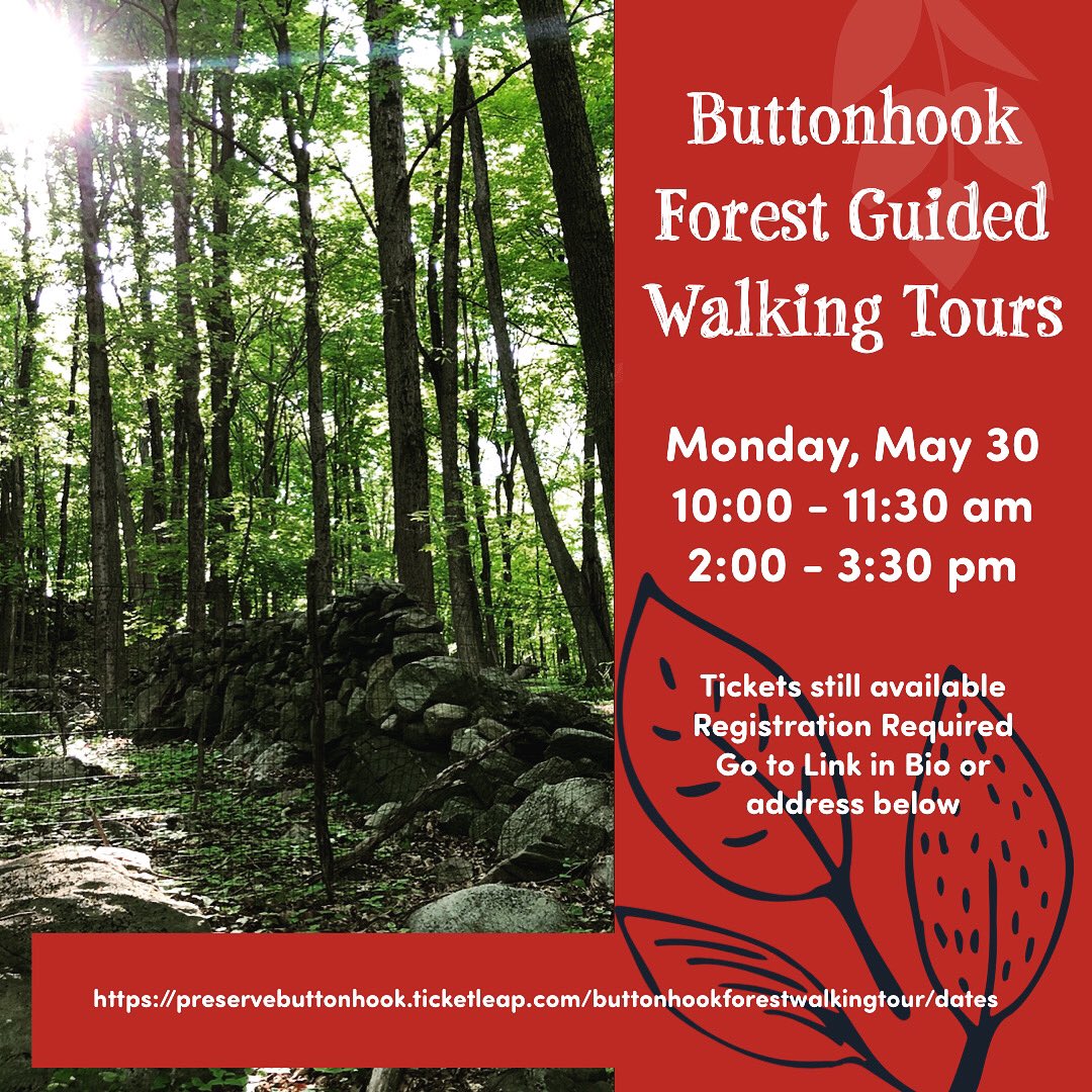savebuttonhook's tweet photo. Come see what is worth saving. Buttonhook Forest Tours Monday Memorial Day!! #savebuttonhook Come see our beautiful forest and learn about the Native American Prayers Stones!! #Indigenousculture #chappaqua Chappaqua School District please work with us to save this land. https://t.co/kx3PbDY7EI
