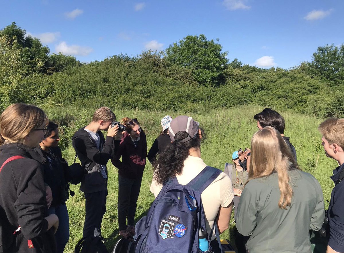 Oxford Ornithological Student Society tweet media