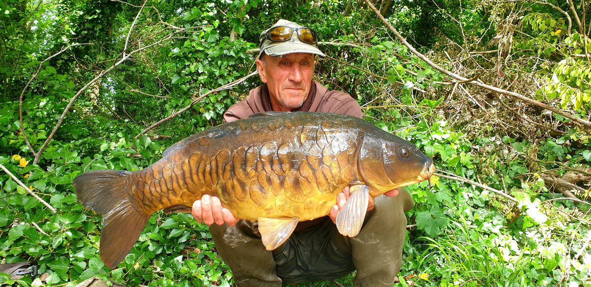 Paul Forward    MR F tweet media