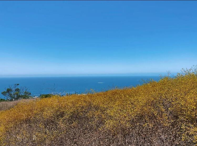emma_eavs's tweet photo. Although the weather is not very good today, I believe it will be a pleasant day，I am going to my friend's hometown for barbecue，The scenery on the way is so beautiful 🤣🤣#barbecue #WeekendVibe #holidayweekend #landscape https://t.co/By1F7HcVTK