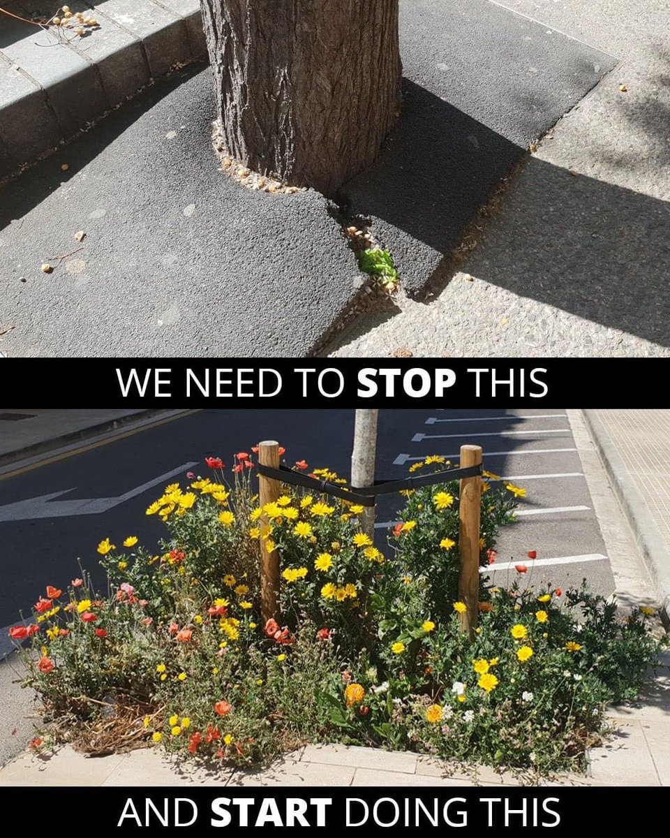 MeadowInGarden's tweet image. Please RT if you would like to see more of this.