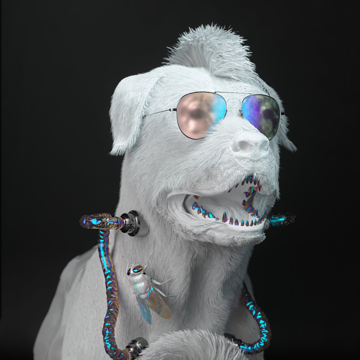 Good evening K9s
What an amazing week!

The launch of our auto bidding tool as well as some crazy returns made from our alpha calls.

We are looking forward to the launch of our auto minter, auto bidder and analytics tools.

Only 25 doggos listed for sale...
Have a great week!