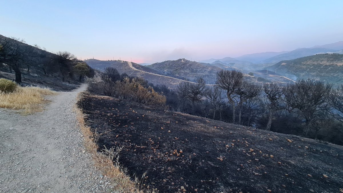 AntonioOrantes7's tweet photo. El incendio de esta tarde en #Granada ha arrasado sin piedad uno de los pulmones de nuestra ciudad, un pinar abandonado por las instituciones y por nuestro @aytogr @PacoCuenca
Asentamientos ilegales, acampadas, botellones... hoy lo lamentamos. 
#IFGranada https://t.co/ahvt4F96Eh