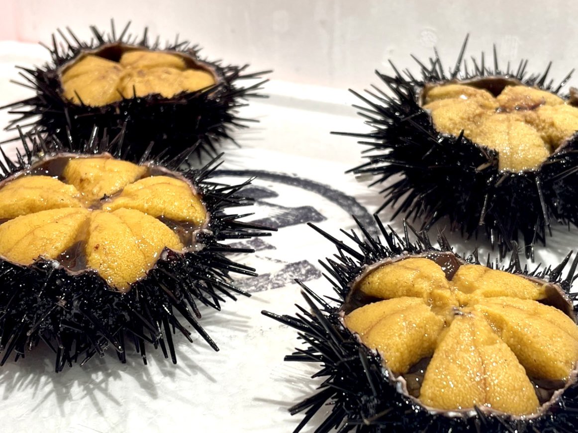 築地市場人の海グルメ 短 い 旬 始まった 生うにの一番美味しい食べ方は 殻付き を割って食べる この最高の贅沢を楽しめる短い北三陸ウニの 旬 がスタート 生うに そのものの味を楽しめるのは 5月上旬 7月下旬頃まで 家庭で取り寄せるなら