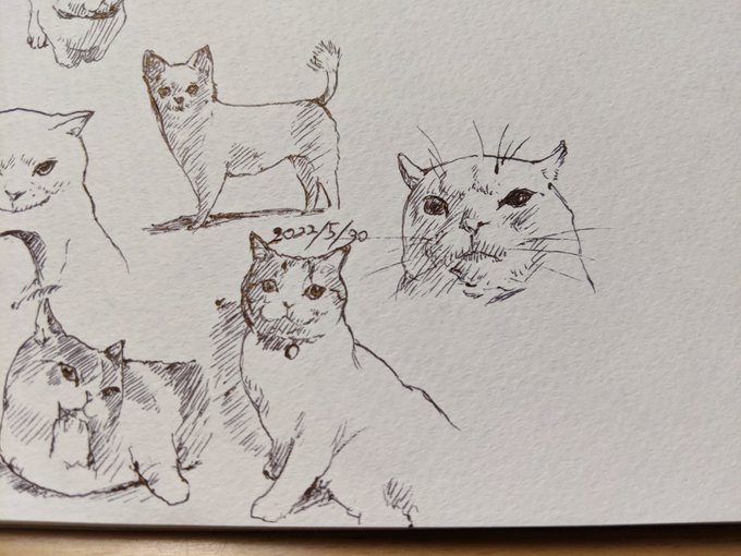 「「「なにか?」」」 カキカキ。 