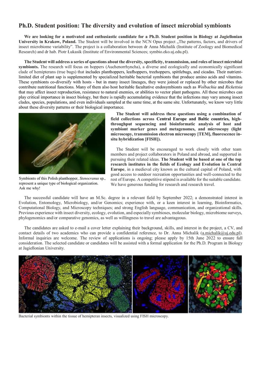 Ph.D. Student position at Jagiellonian University in Krakow