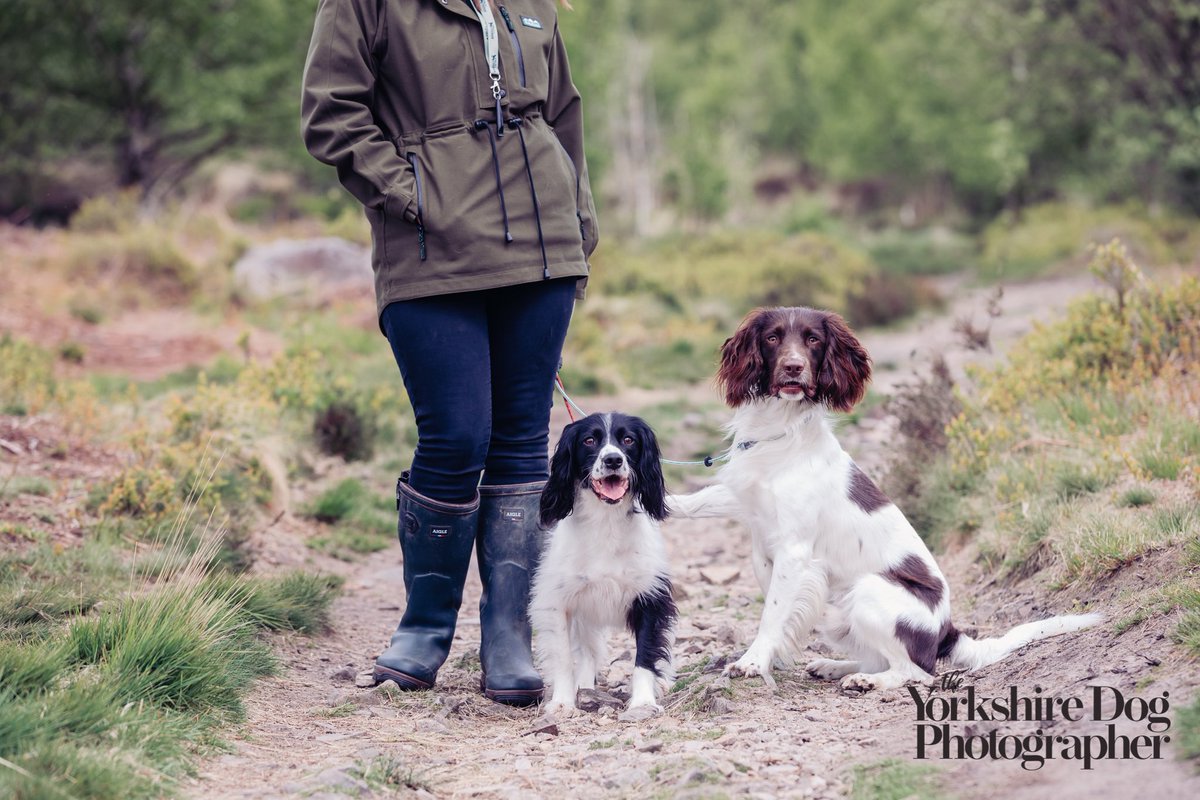 I’ve got your back.

A recent commission with two beautiful Springers 🐶🐶

#theyorkshiredogphotographer #yorkshiredogphotographer #springerspaniels