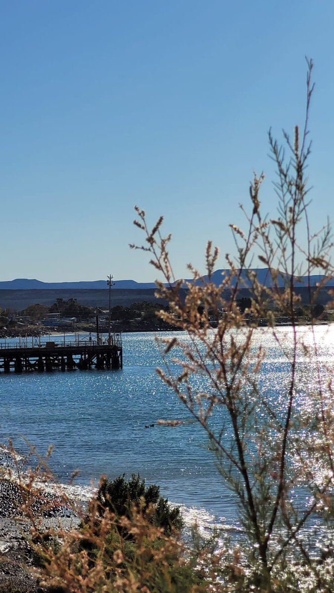 TrendHuntingBA's tweet image. Cuando conoces el #SUR.
#patagonia #ComodoroRivadavia #Chubut

.
#CaletaCordova