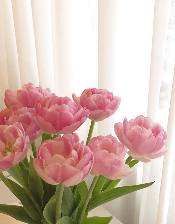 ೃ✧ Mini hilo de tips para mantener el olor de tu perfume/fragancia favorita¡! ♡.੭ु — 🩰