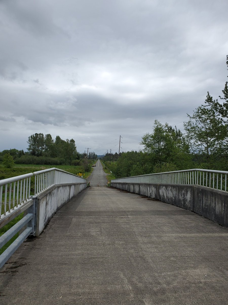 Mongo (likes candy) (@davidruzella) on Twitter photo 