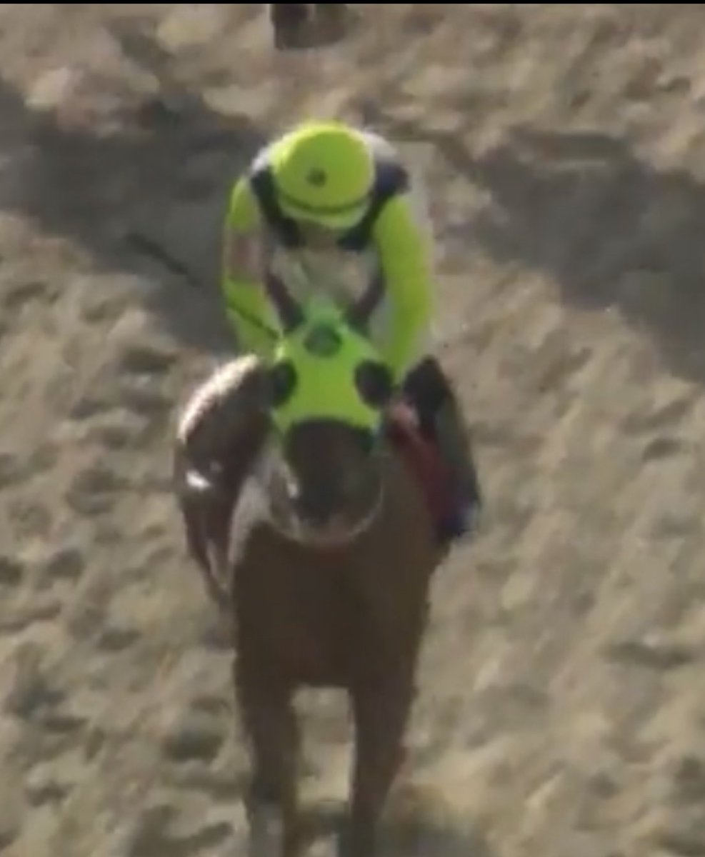 Stud Sanros (@sanrosstud) on Twitter photo Agradecidos con Dios 🙏<a href="/ChenomaJg/">Juan Garcia</a> <a href="/jockeyjaimelugo/">Jaime Pocho Lugo</a> <a href="/H_VistaHermosa/">Haras Vista Hermosa</a> y equipo de cuadra por el triunfo de Chikuela 🐎🐎 Agradecidos con Dios 🙏<a href="/ChenomaJg/">Juan Garcia</a> <a href="/jockeyjaimelugo/">Jaime Pocho Lugo</a> <a href="/H_VistaHermosa/">Haras Vista Hermosa</a> y equipo de cuadra por el triunfo de Chikuela 🐎🐎