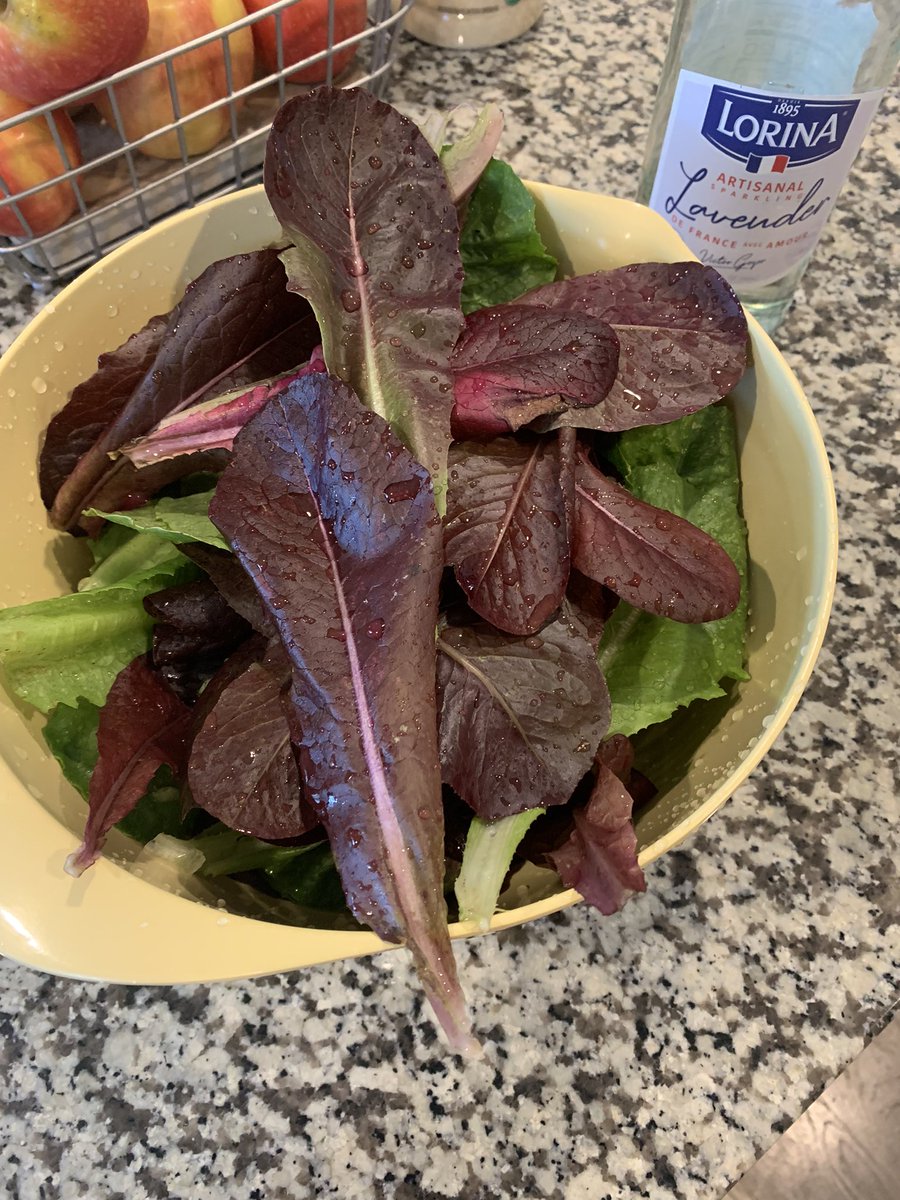 tarabreder's tweet photo. Homegrown relaxing Sunday here 🇺🇸 https://t.co/ePhR7CiMQw