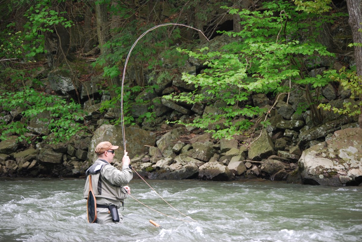 PaPFF's tweet photo. Loved #fishing this weekend🎣 Champion #GrowingGreenerIII, restoring streams across #PA, and supporting healthy aquatic life by Being A Voice 📢
Click on https://t.co/KViKwlBk0Q to Take Action✔️

📷Megan Shusko, Poe Paddy State Park https://t.co/JSFW4kEOHt
