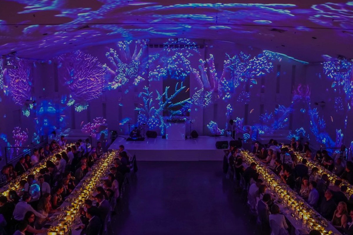 projectorreview's tweet image. A unique way to use projection as event decoration (and use the projector for entertainment too!).

Click here to learn more: bit.ly/3zhqSBN

#ProjectorReviews #ProjectorMapping #Projectors