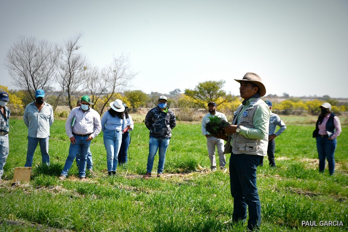 Así fué este ciclo agronómico:

Siembra, seguimiento, análisis y demostración.

Así construimos la Red de Cultivos de Servicio.

Resultados: incremento de la Prodcutividad en sistemas industriales de producción