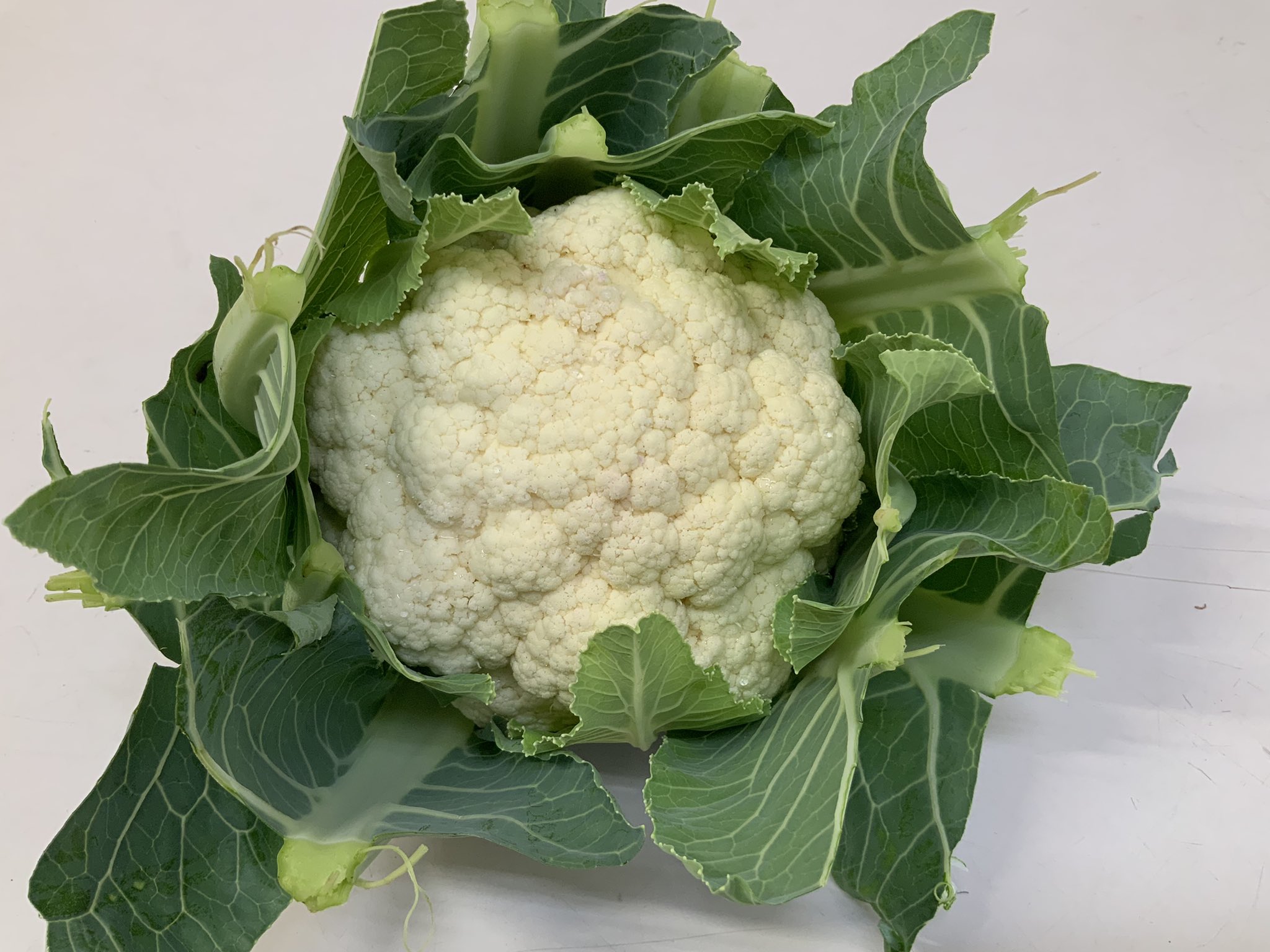 See Tane Hashimoto S Tweet On May 29 22 Twitter