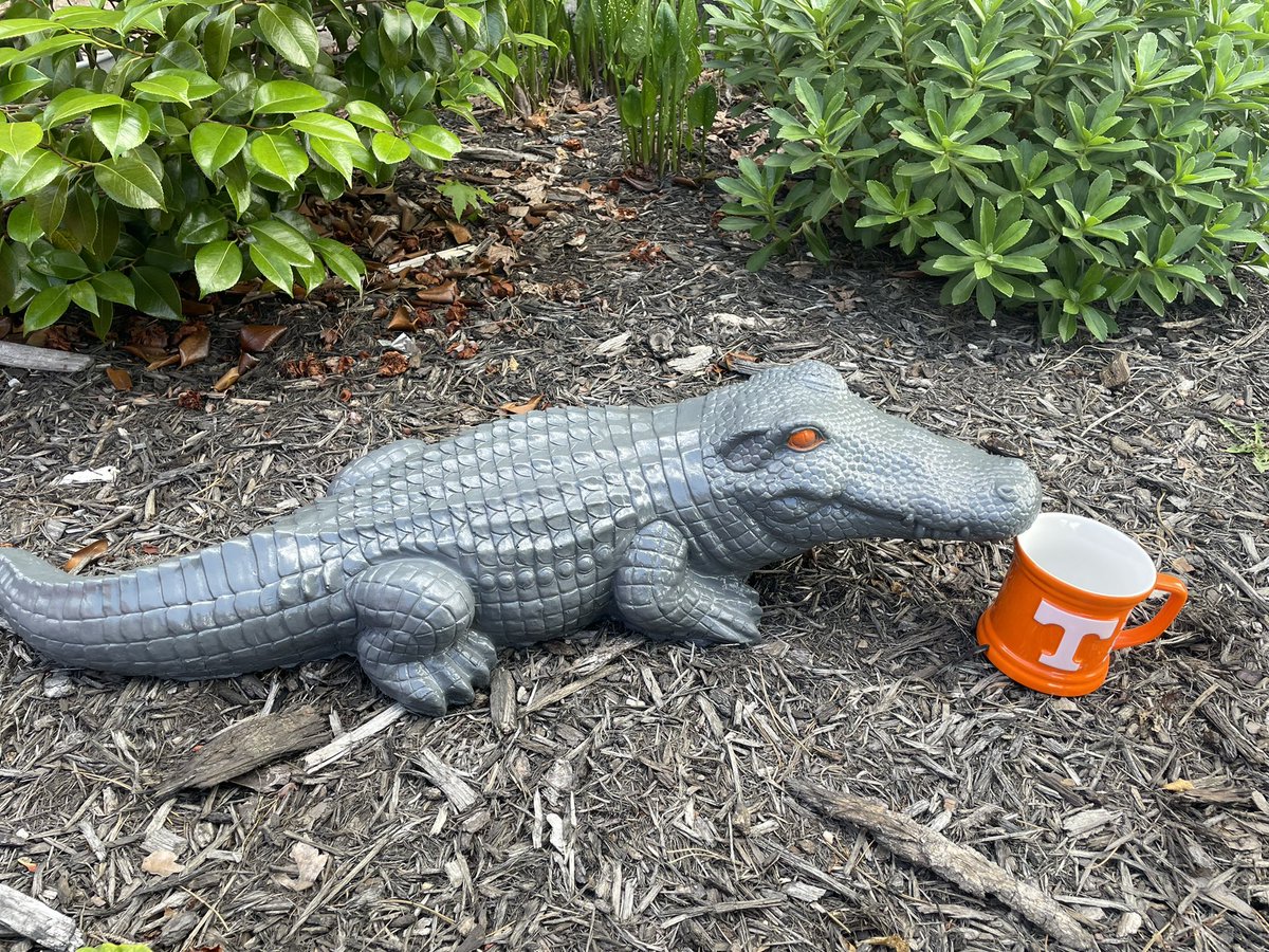 GameDayOrange's tweet photo. @SEC @Vol_Sports @Vol_Soccer @Vol_Hoops @Vol_Baseball @UTKnoxville #volstrong https://t.co/a9WHvWsA2z
