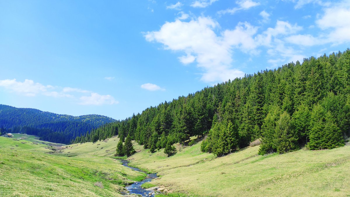 fototurguthaci's tweet photo. 📍Bektaş Yaylası
#bufosev #fototurguthaci #yansımalar28 #giresun #bulancak 
#bahar #bulancakgram #bulancaksevdalısı #fotoBulancak #fotoğraf  #fotoğrafsanatı #karadeniz  #yansımalar #doğadahayatvar #trtbelgesel #türkiye #turguthacınoğmanoğlu #gezfod https://t.co/FD9OeviDaT