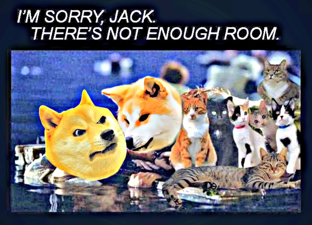 to_all_ur_stars's tweet photo. When @Rocky0221 says
"There's not enough room Ben." 😭
#POORJACK #TITANIC
#DOGECRUISE #DOGEPLANK
#DOGEFAM 💯🌴🍹 https://t.co/QRy5p3N8PG