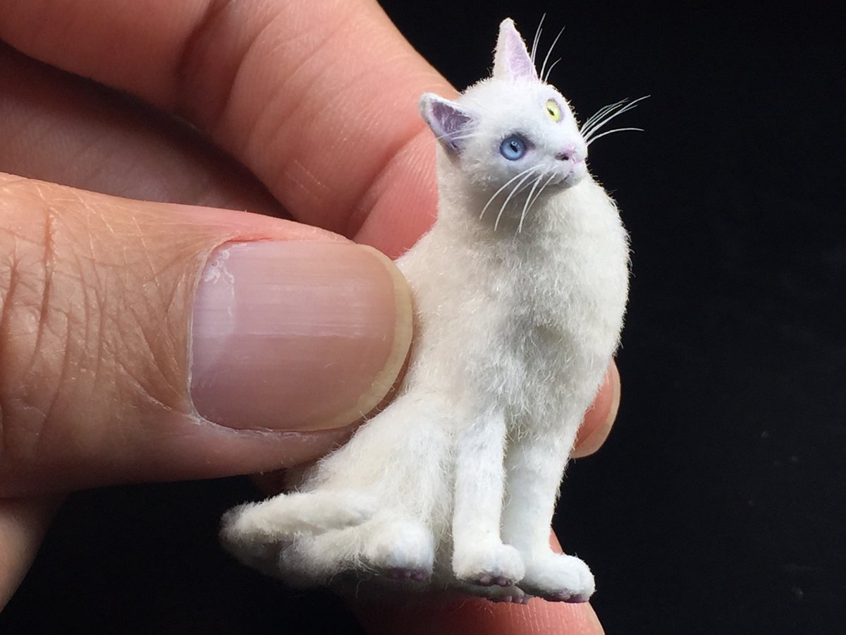 完成😊 
#ミニチュア #ハンドメイド #猫 #オッドアイ
